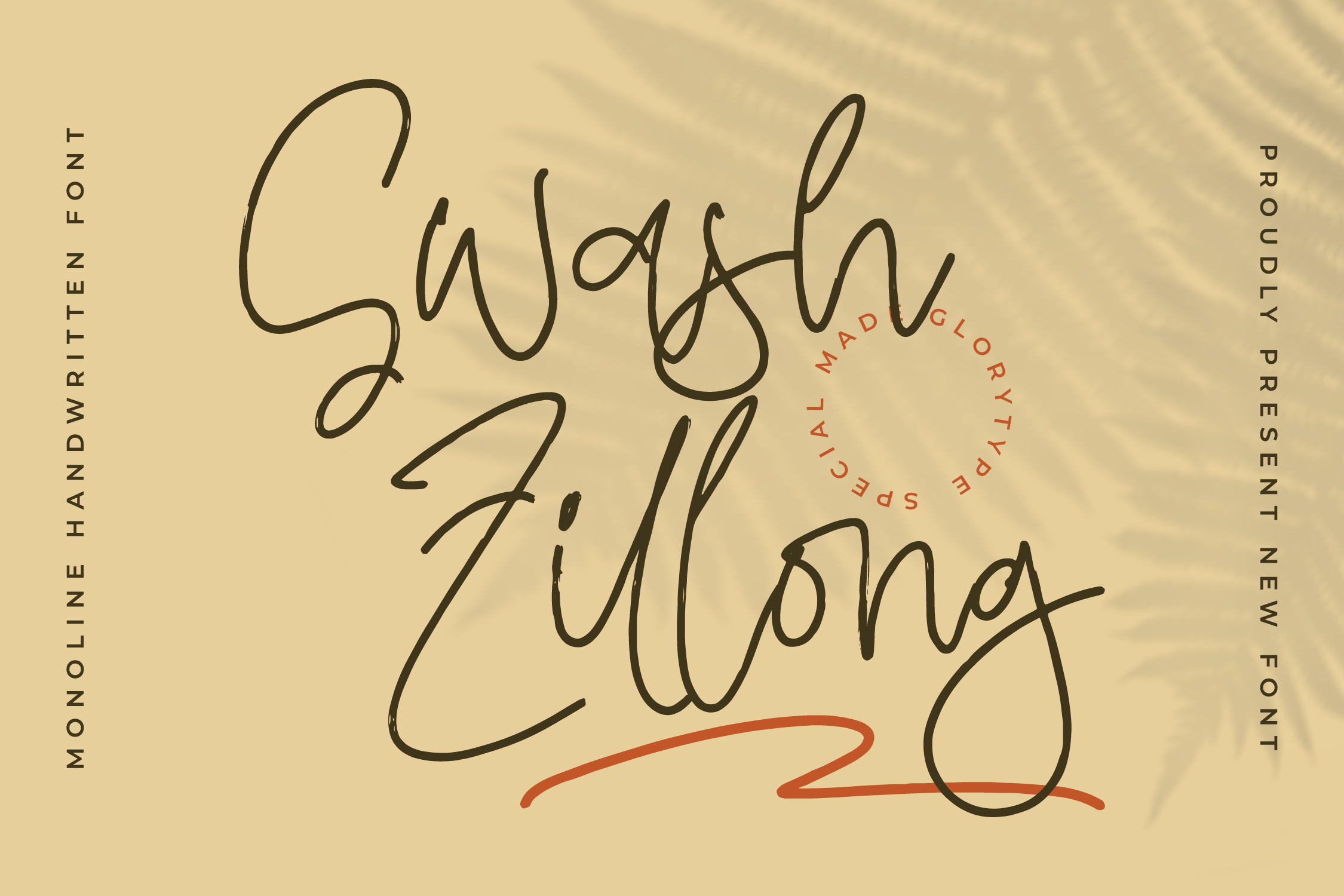 Swash Zillong