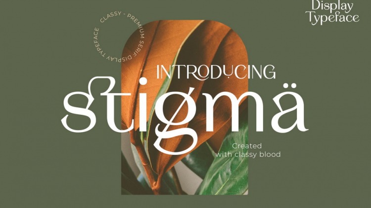 Stigma Serif Display