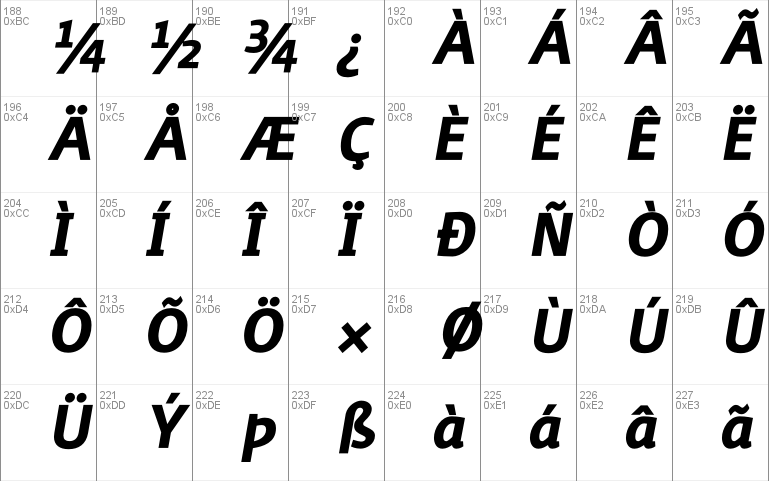 Surface Bold Italic Font