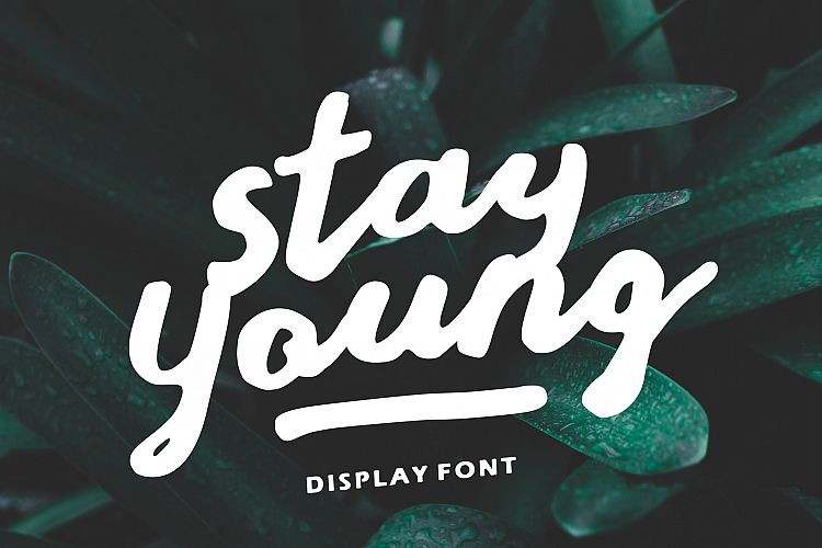 Stay Young Font