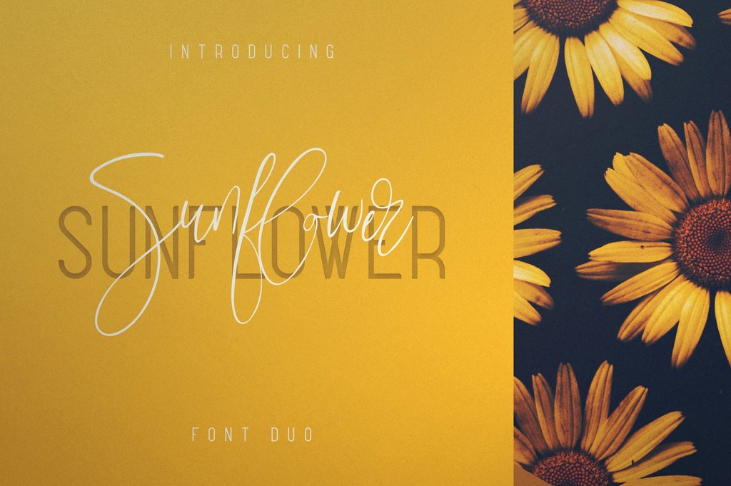 Sunflower upper