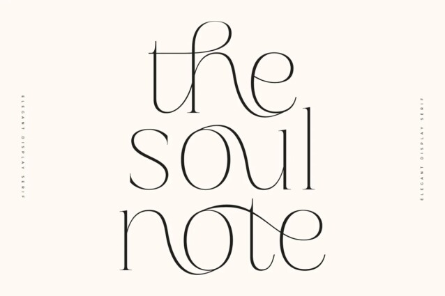 Soul Note Display Trial
