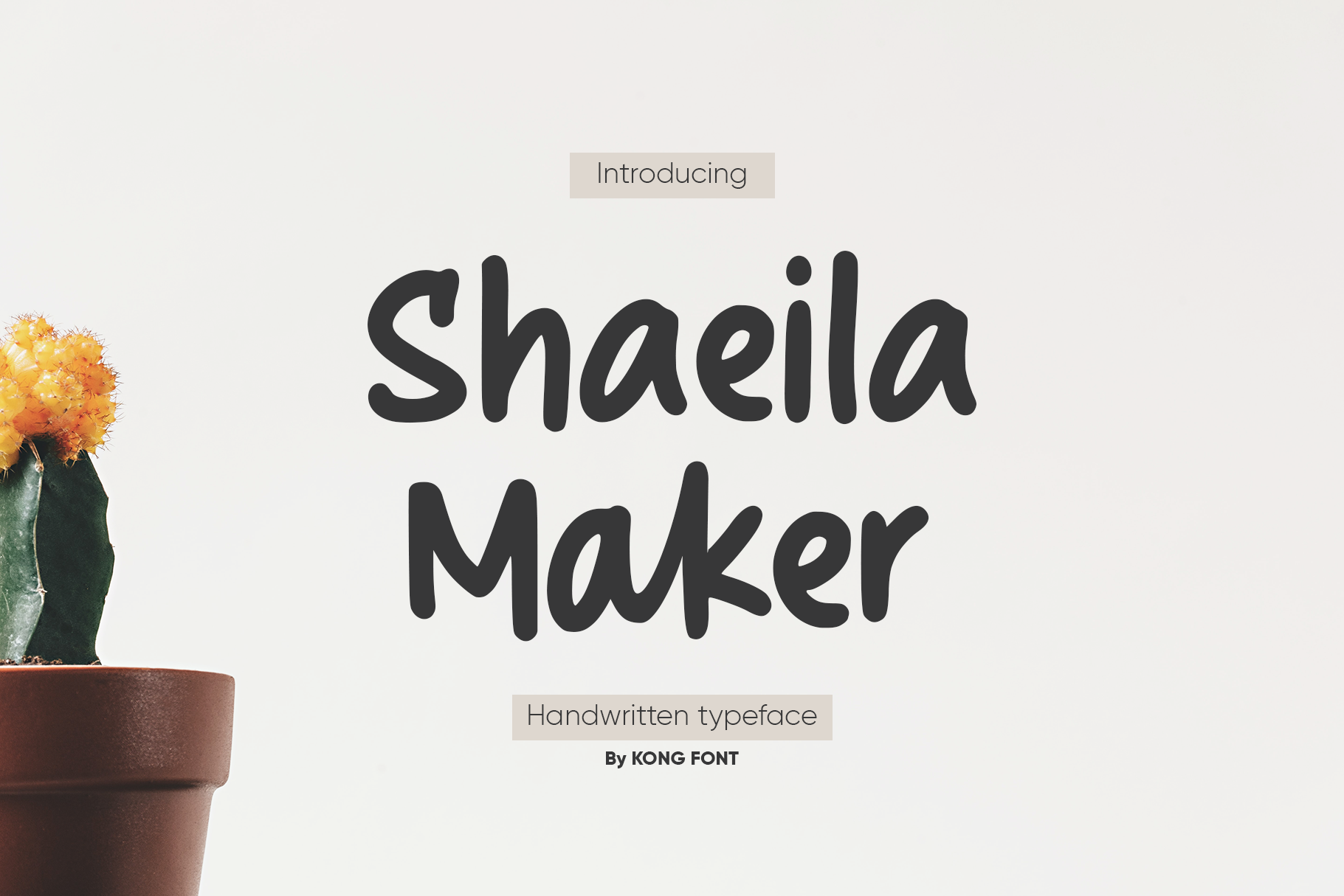 Shaeila Maker Italic