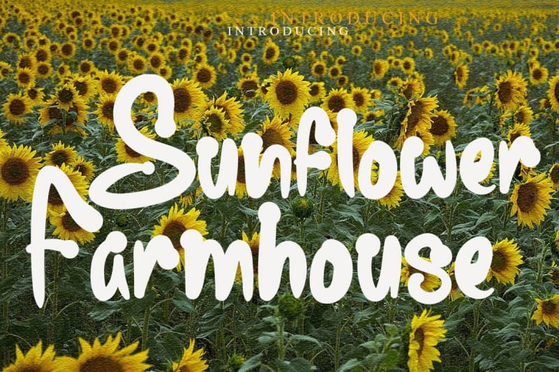 Sunflower Farmhouse