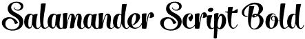 Salamander Script Bold