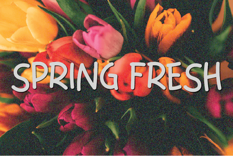 Spring Fresh