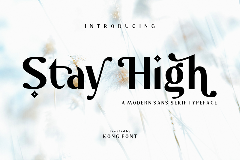 Stay High Italic