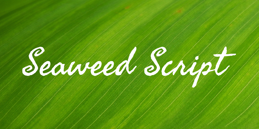 Seaweed Script