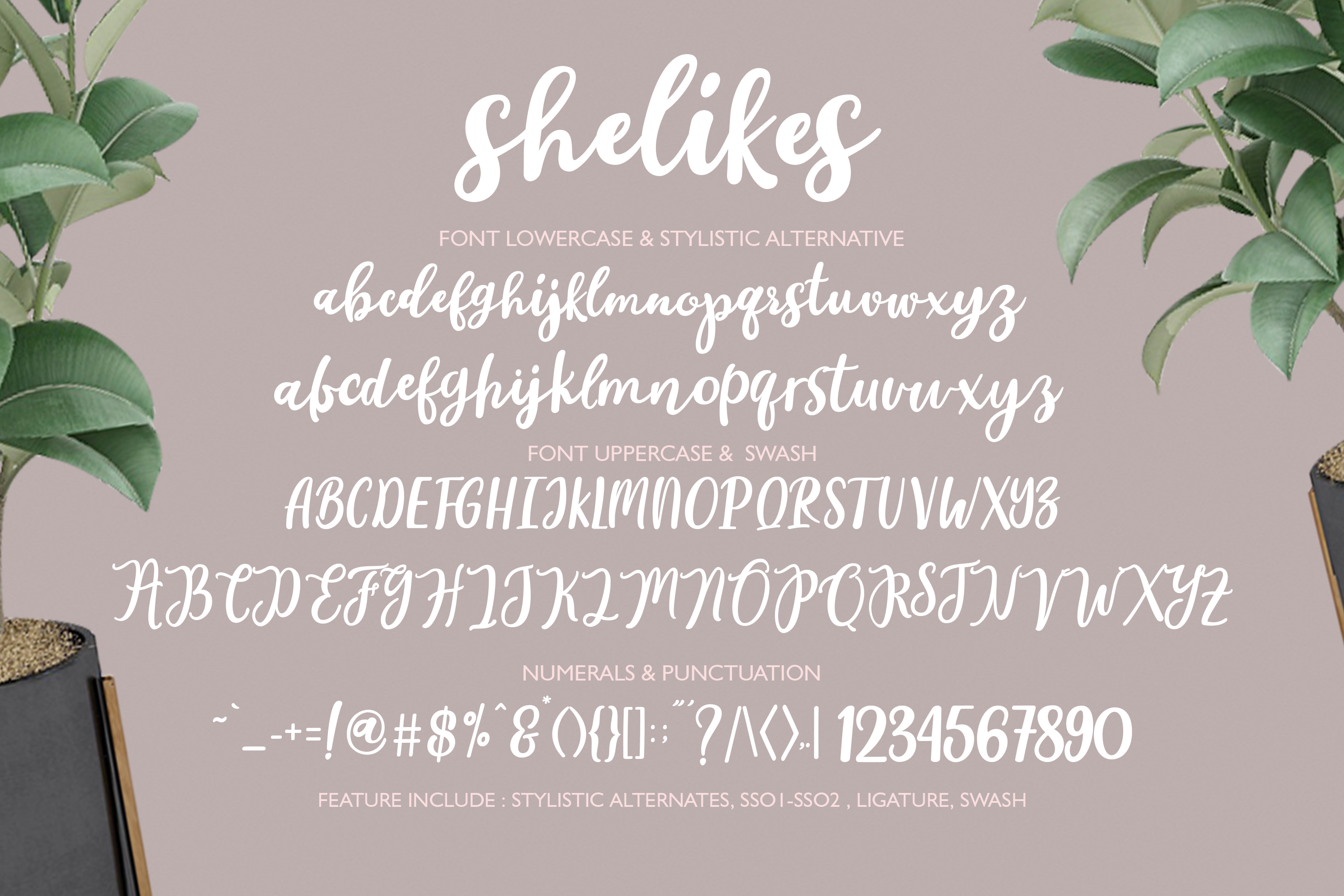 Shelikes Script