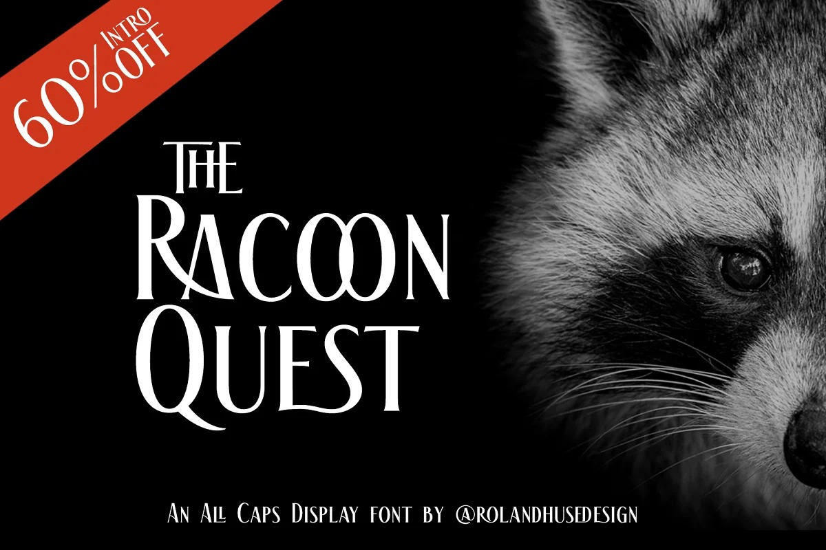The Racoon Quest Demo