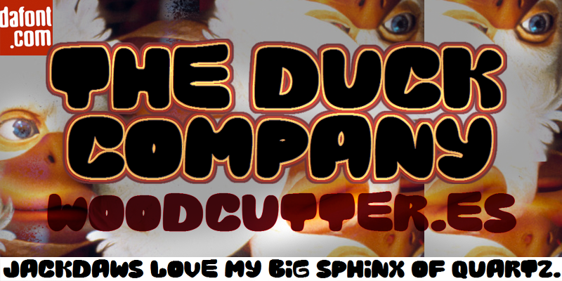 The Duck Company