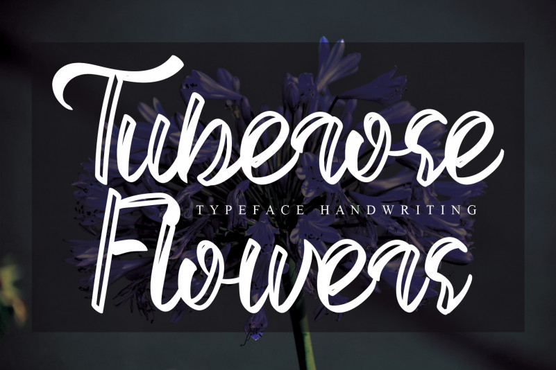 Tuberose Flowers