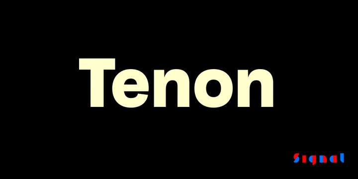 FSP DEMO - Tenon Bold