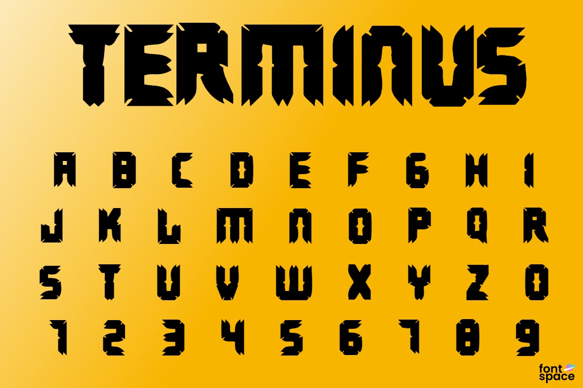 Terminus Font