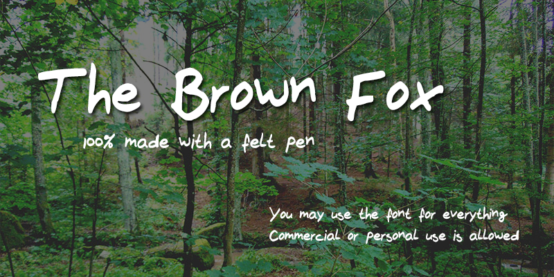 The Brown Fox