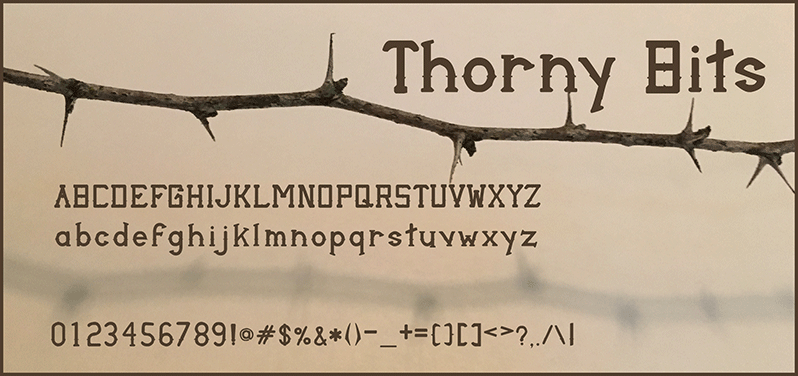 Thorny Bits Regular