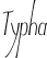 Typha
