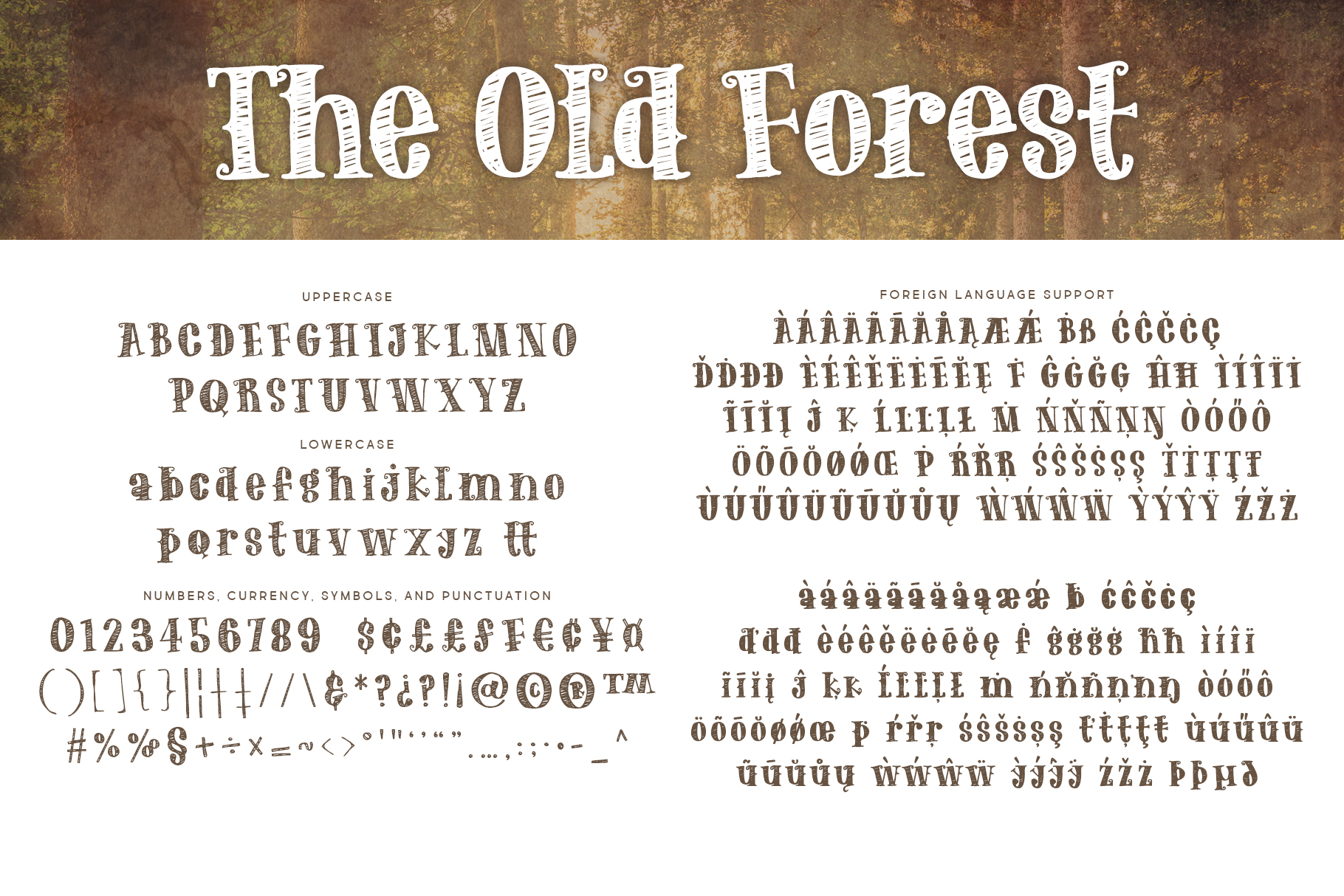 The Old Forest