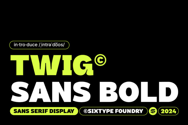 Twig Sans Bold Demo