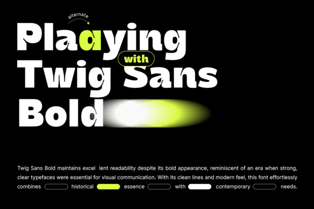 Twig Sans Bold Demo