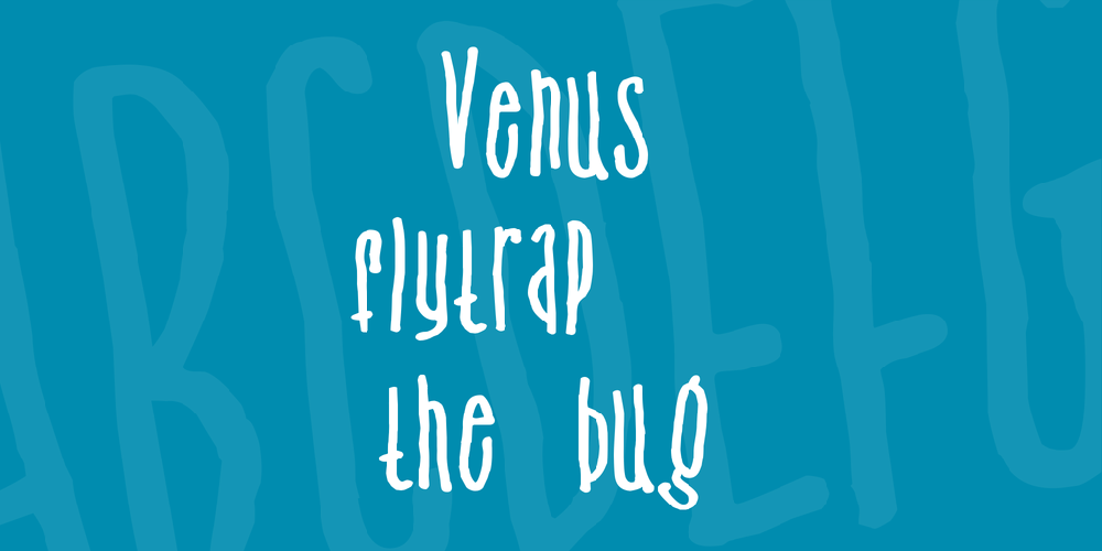 Venus flytrap   the bug