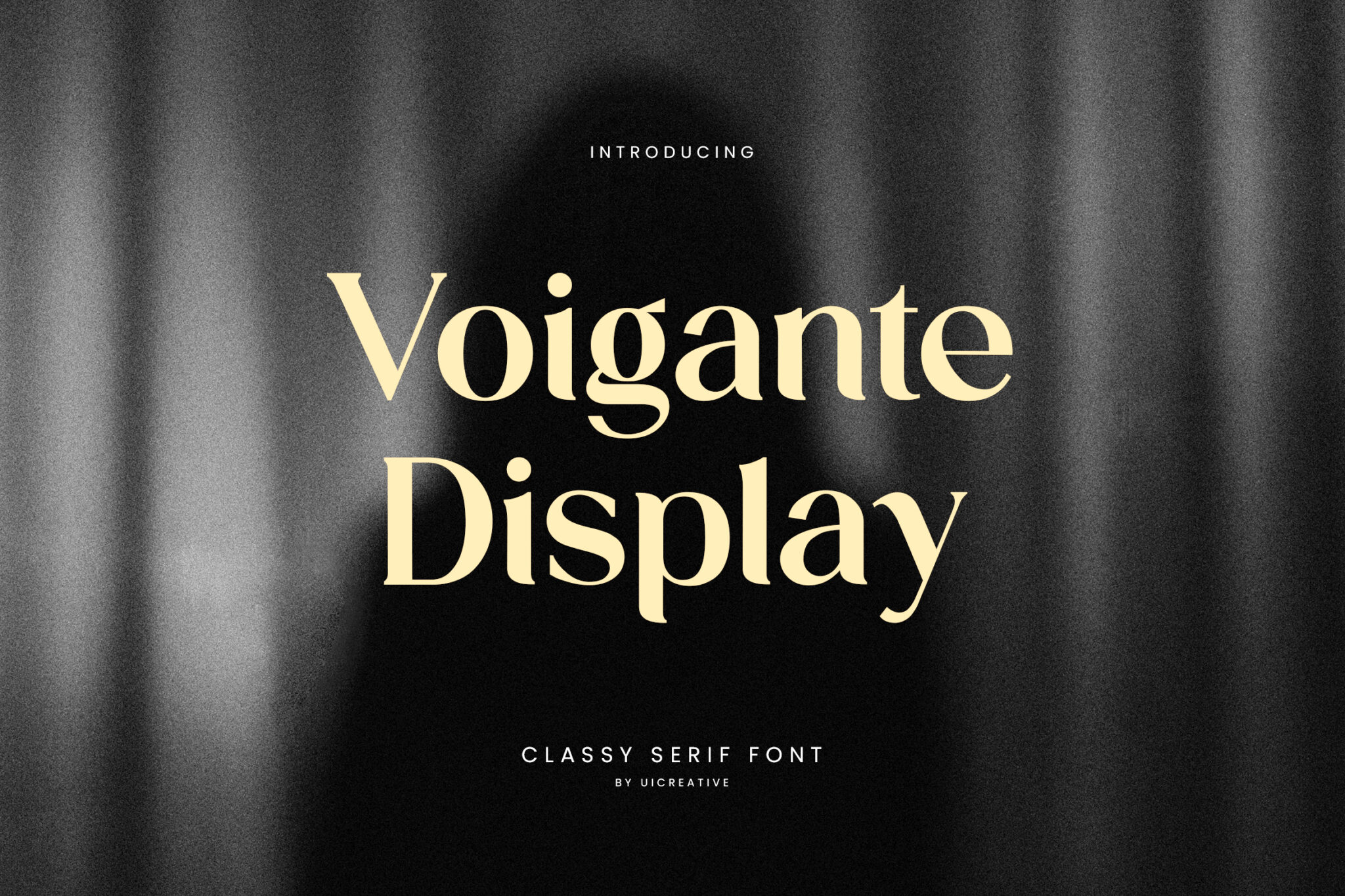 VoiganteDisplay