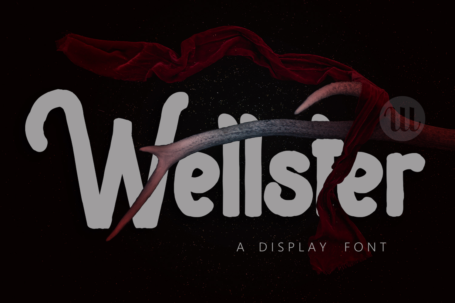 Wellster