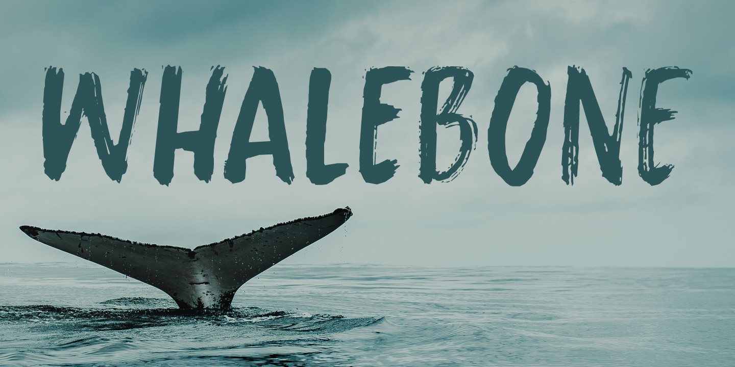 Whalebone DEMO
