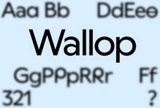 Wallop TRIAL Medium