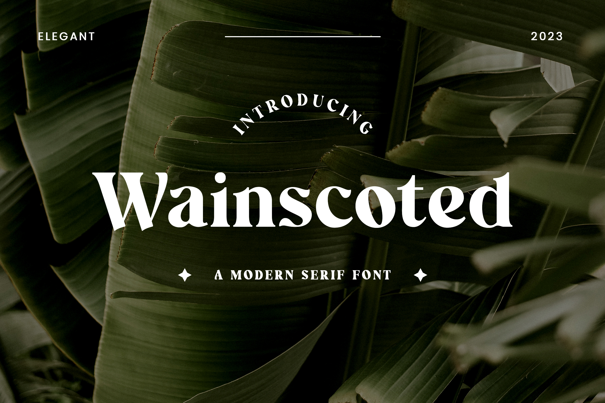 Wainscoted