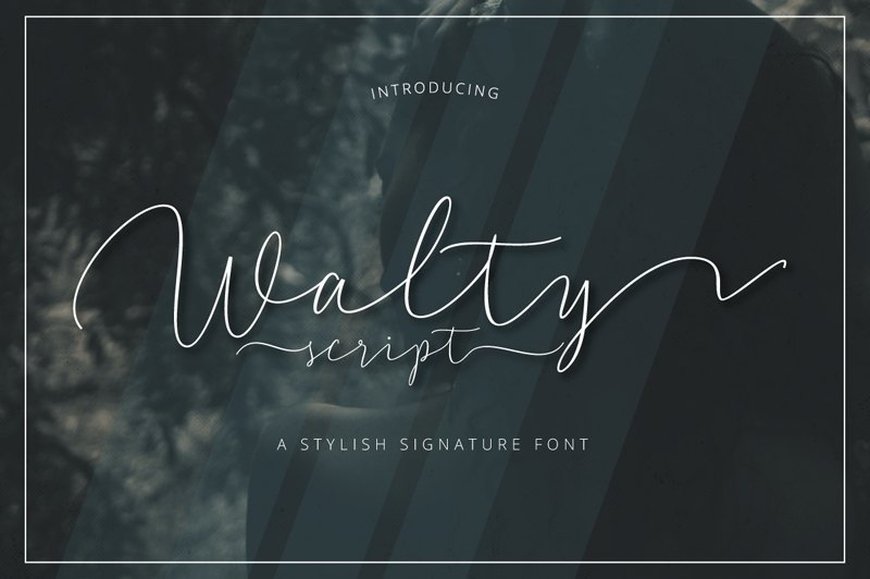 Walty Script