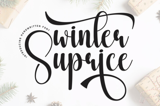 Winter Suprise