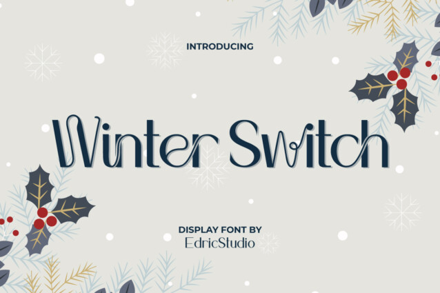 Winter Switch Demo