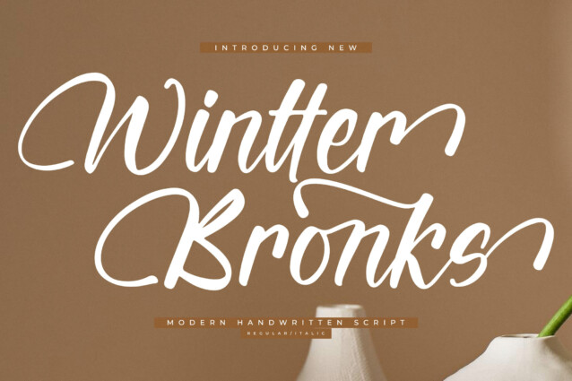 Wintter Bronks DEMO VERSION