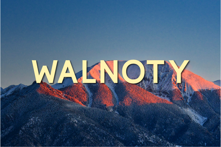 Walnoty