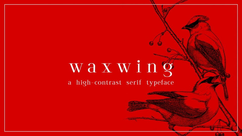 waxwing