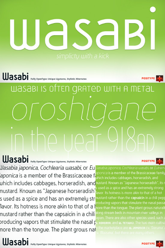Wasabi-Bold