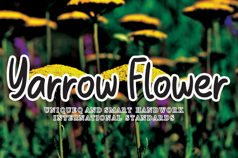 Yarrow Flower