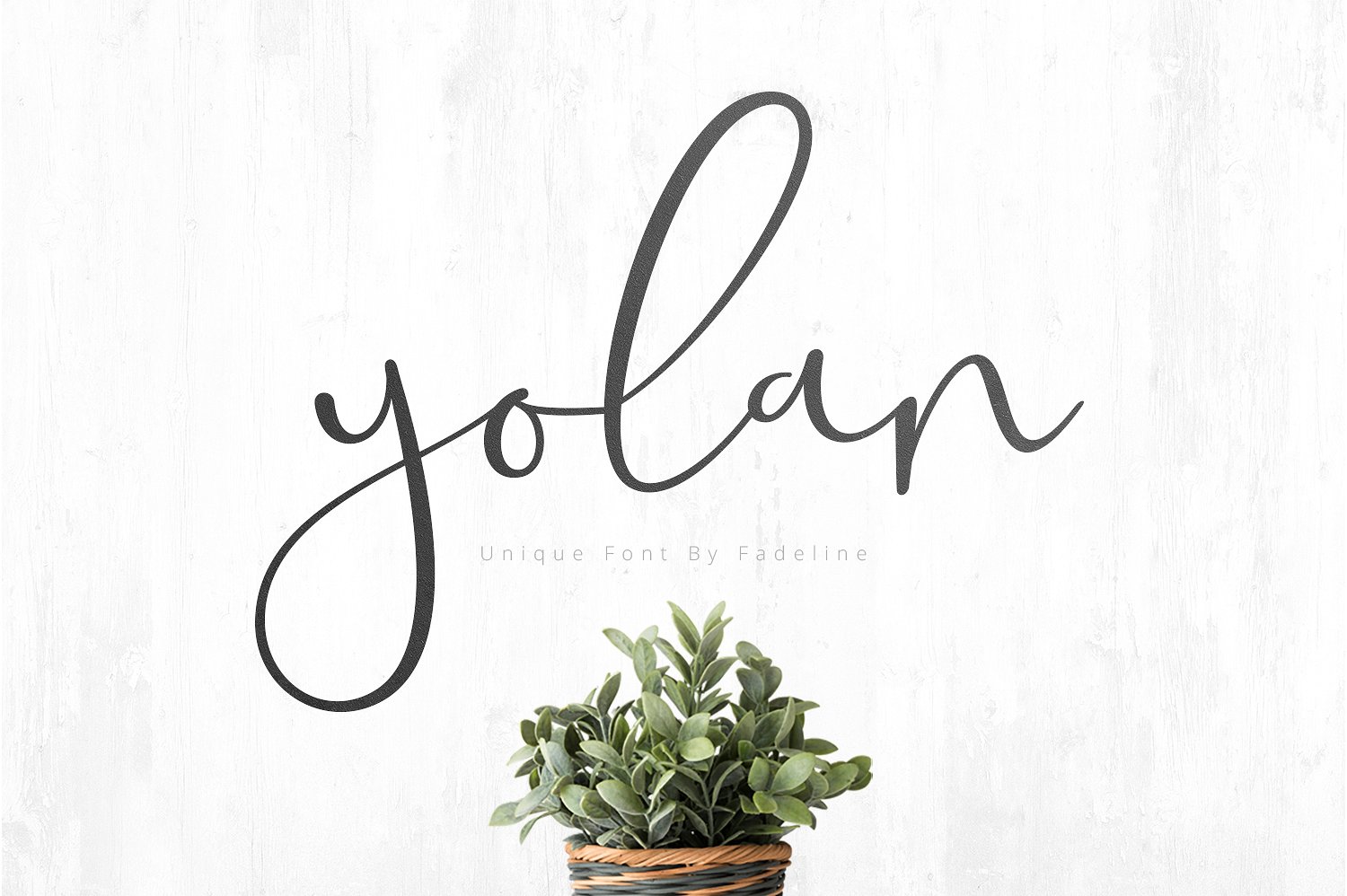 Yolan Script Demo