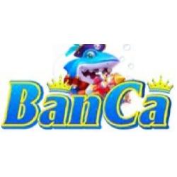 banca28comvc