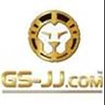 GS-JJ e-commerce