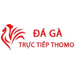 Đa Ga Truc Tiep Thomo Hom Nay