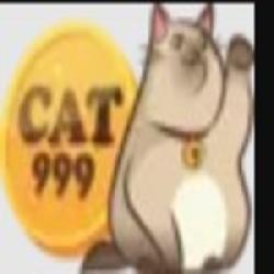 cat999 kim