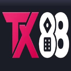 TX88 investment