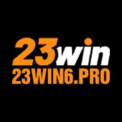 23WIN Pro