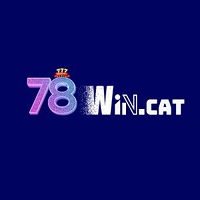 78wincat